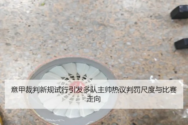 意甲裁判新规试行引发多队主帅热议判罚尺度与比赛走向